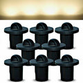 Domed lighting kit with 40mm warm white LED bulbs on a gray surface